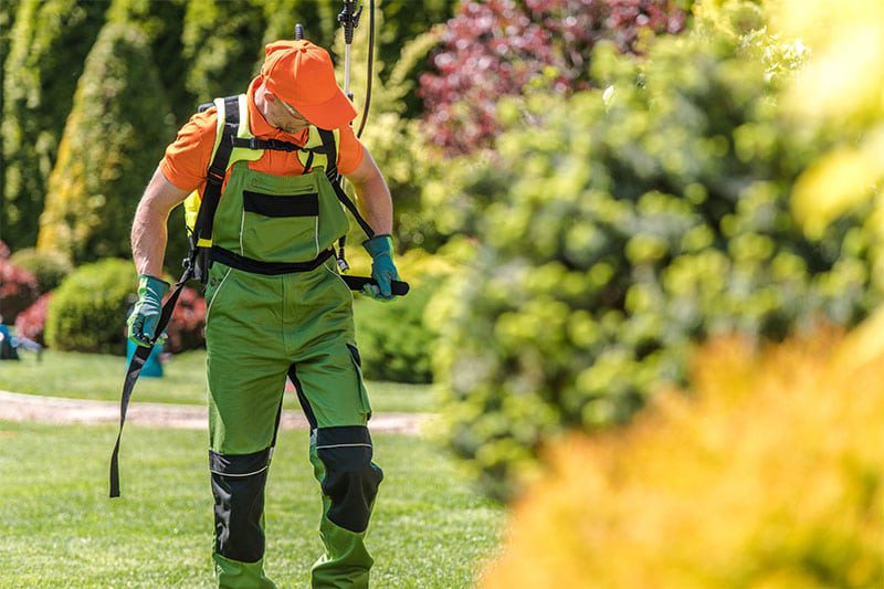 Man spraying Roundup