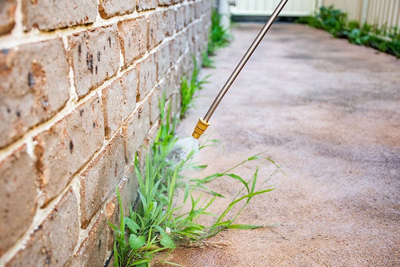 Paraquat exposure