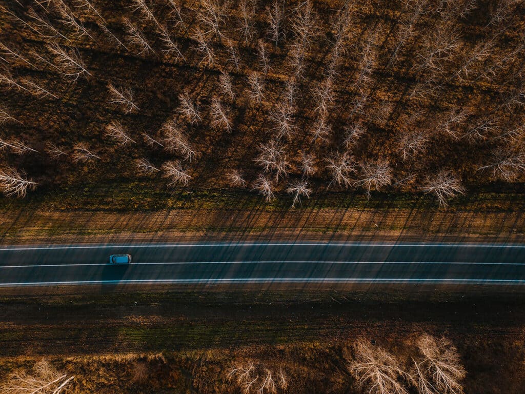 rural road car wreck